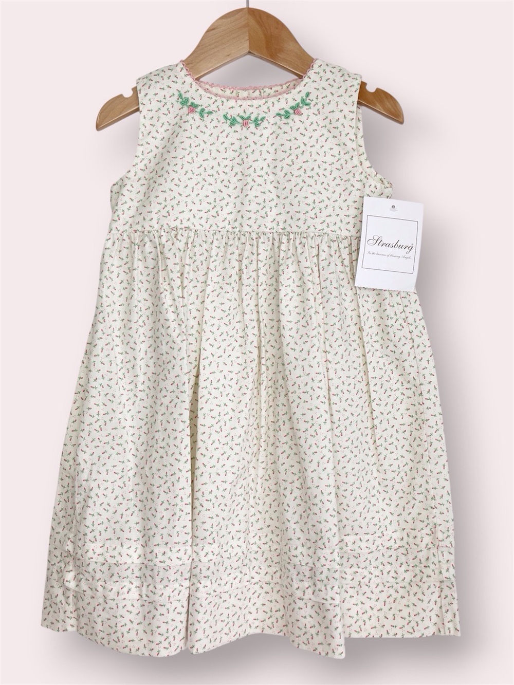 NWT Strasburg rosebud slip dress floral embroidered sleeveless 18 months